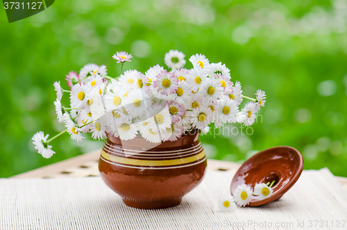 Image of A bouquet of daisies in a pot at the table