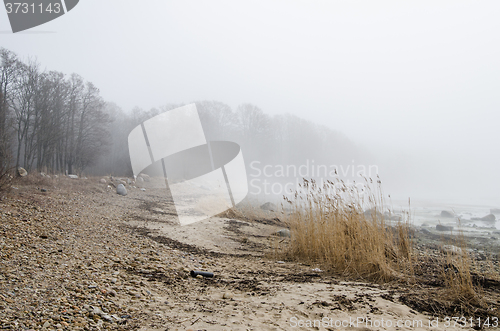 Image of Coast of Baltic sea in a fog