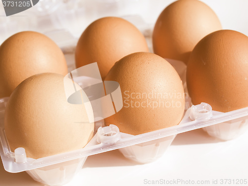 Image of Retro looking Eggs picture