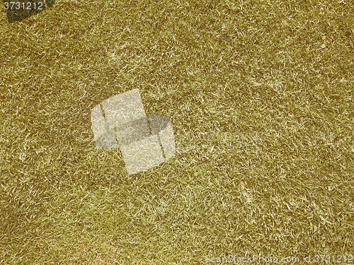 Image of Retro looking Green grass meadow background