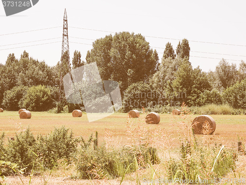 Image of Retro looking Hay bale