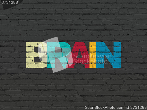 Image of Health concept: Brain on wall background