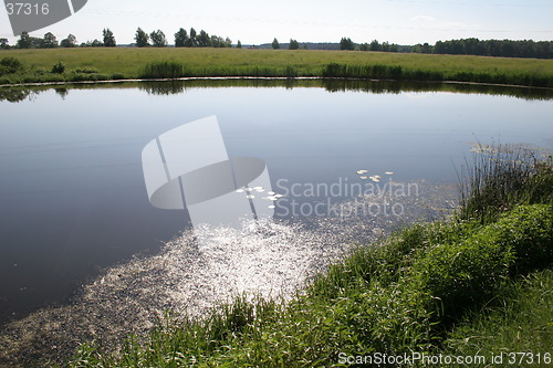 Image of Coutry pond