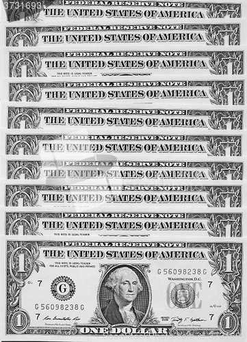 Image of Black and white Dollar notes 1 Dollar