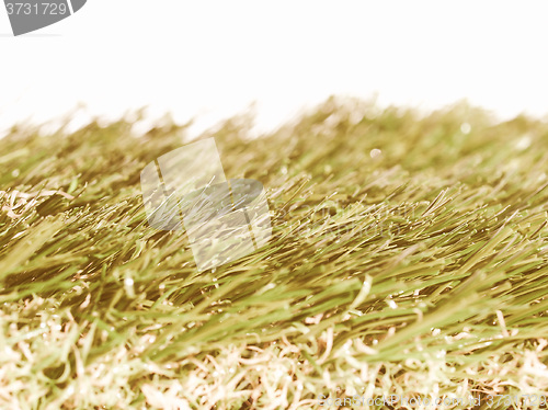 Image of  Artificial meadow vintage