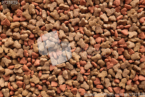 Image of Dried cat food background