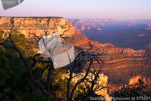 Image of Grand Canyon