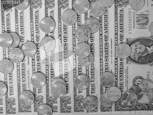 Image of Black and white Dollar coins and notes