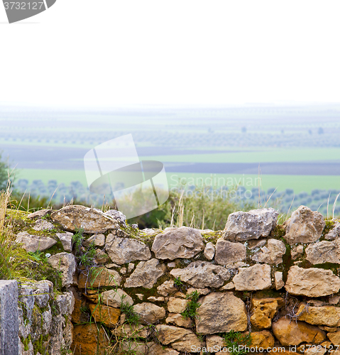 Image of volubilis in morocco africa the old roman deteriorated monument 