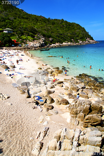 Image of asia in the  kho tao bay isle white  beach  swim