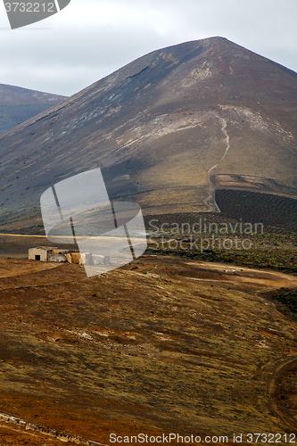 Image of home viticulture    lanzarote  