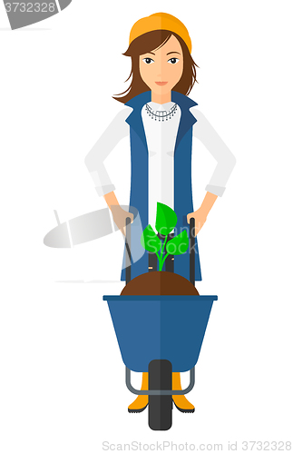 Image of Woman with plant and wheelbarrow.