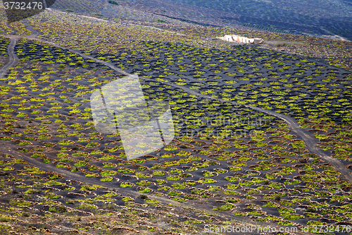 Image of abstract winery spain la geria 