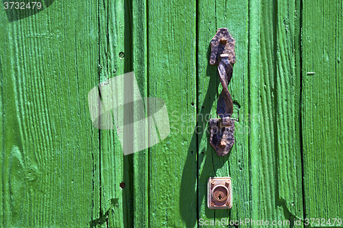 Image of brown knocker in a lanzarote abstract  spain 