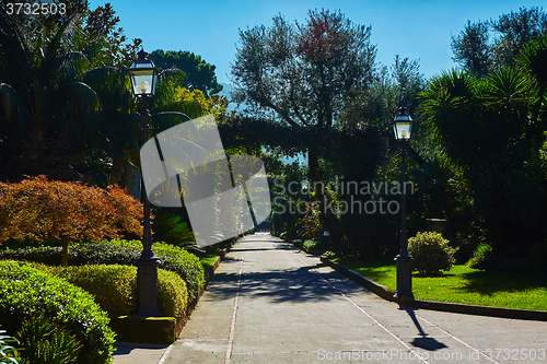 Image of View of Green park in city