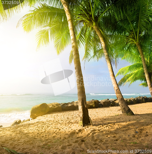 Image of Sunrise on a beach