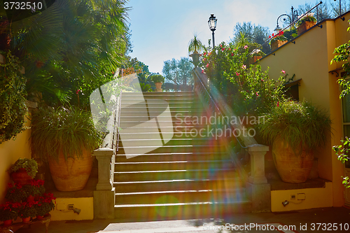 Image of Brown concrete stair in city garden. 