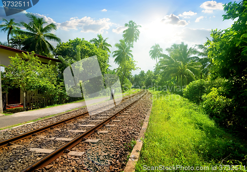 Image of Railroad in Sri Lanka