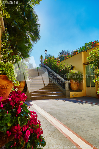 Image of Brown concrete stair in city garden. 