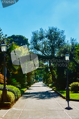 Image of View of Green park in city