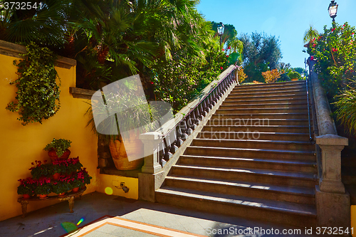 Image of Brown concrete stair in city garden. 