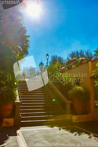 Image of Brown concrete stair in city garden. 