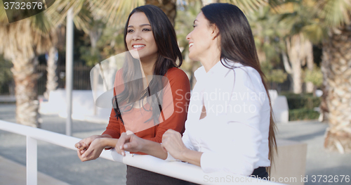 Image of Young women chatting in a tropical urban park