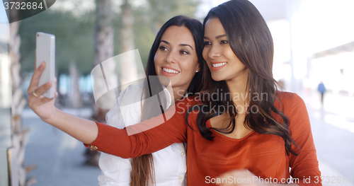 Image of Gorgeous stylish young women pose for a selfie
