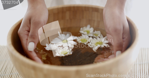 Image of Female Hands With Bowl Of Aroma Water