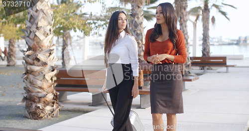 Image of Two elegant ladies walking and chatting