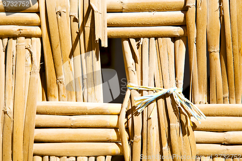 Image of texture bamboo in morocco africa brown  