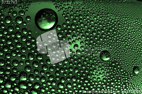 Image of abstract  green 