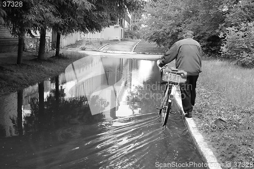 Image of After the rain