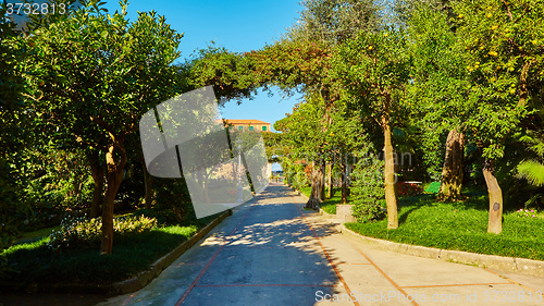 Image of View of Green park in city