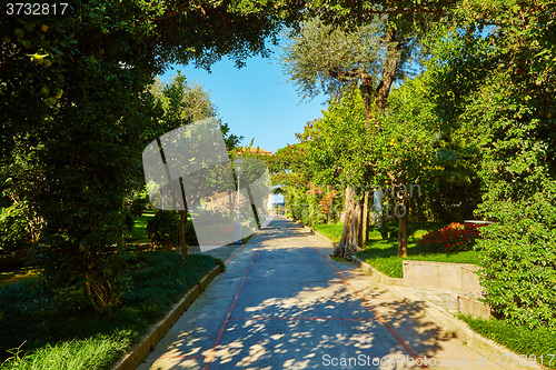 Image of View of Green park in city