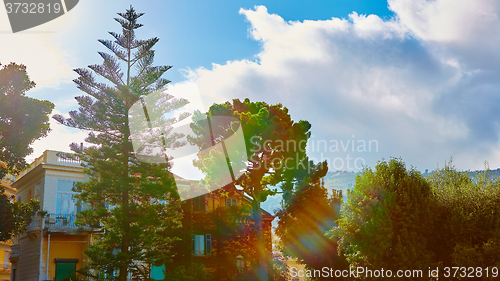 Image of View of Green park in city at summer day