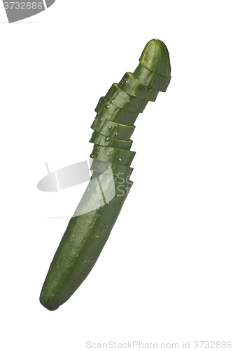 Image of Japanese cucumber