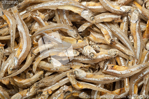 Image of Anchovies