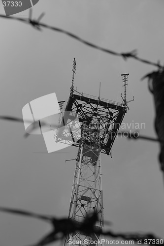 Image of Barbed Wires