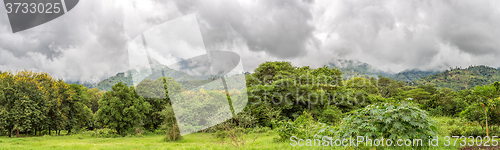 Image of Uluguru Mountains in the Eastern Region of Tanzania