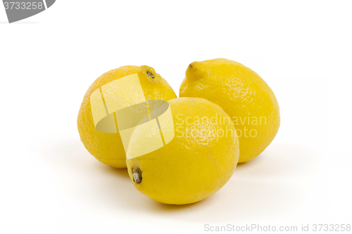 Image of juicy lemon isolated on white