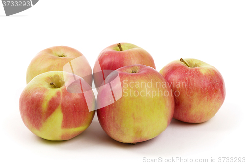 Image of fresh juicy red and yellow apples isolated