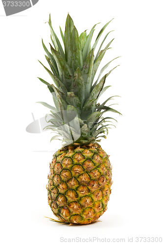 Image of Pineapple isolated