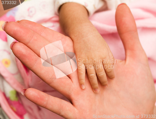 Image of Newborn hand