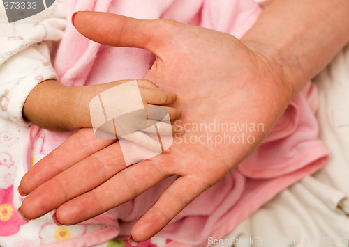 Image of Newborn hand