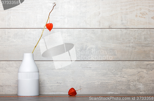 Image of Orange dry flower in a white vase