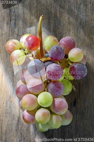 Image of bunch of grapes 
