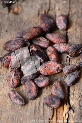 Image of Raw Cocoa beans