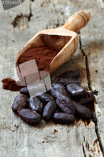 Image of Raw Cocoa beans