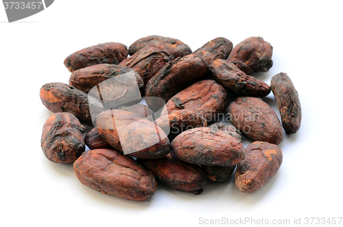 Image of Raw cocoa beans